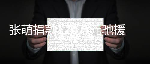 行张萌捐款0万南元驰援河一定